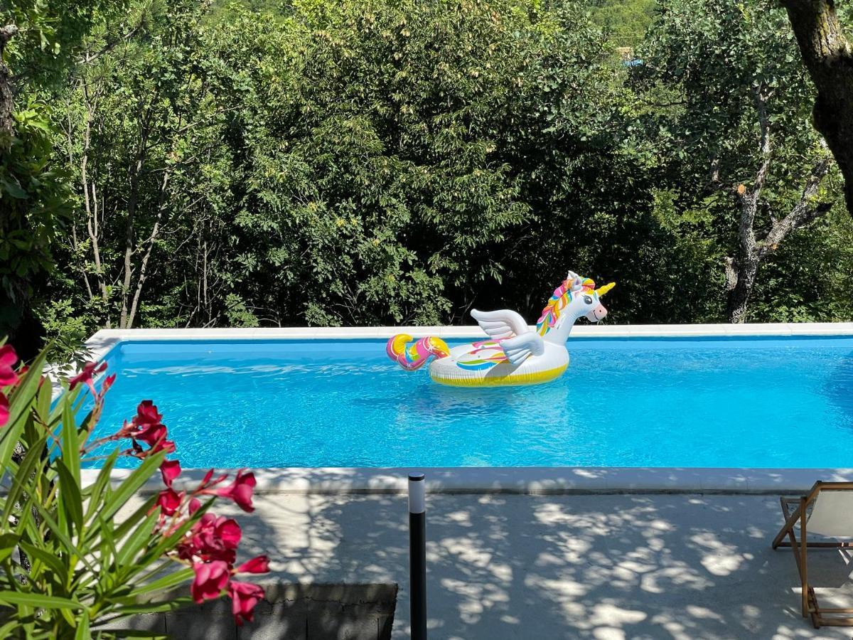 Holiday House Dunamis Krivodol Kültér fotó