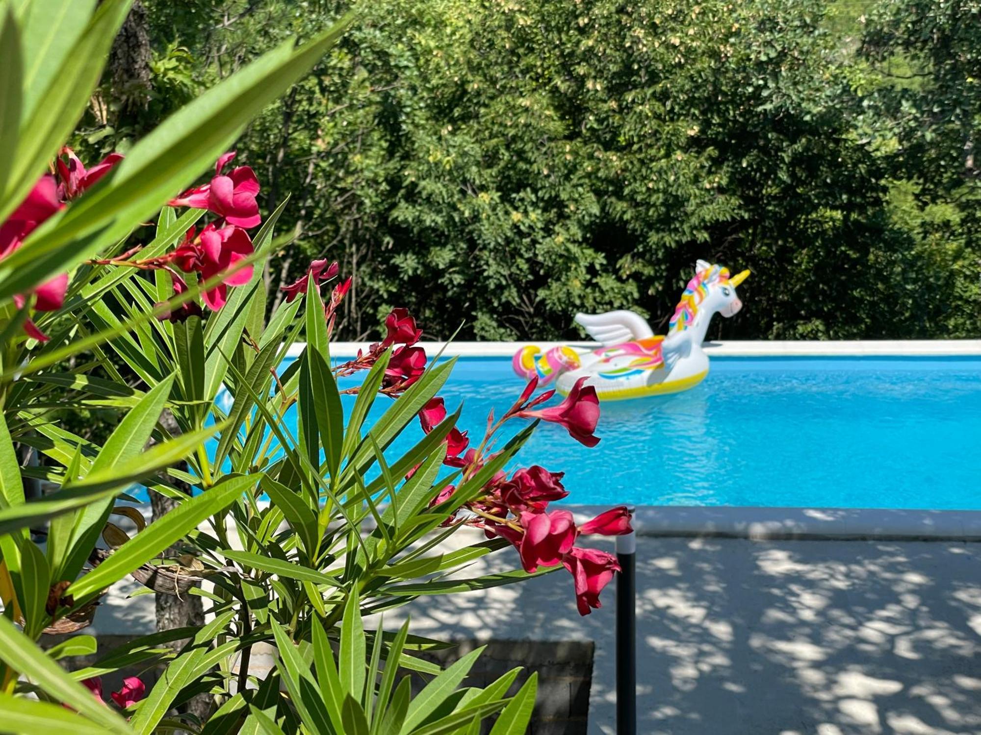 Holiday House Dunamis Krivodol Kültér fotó